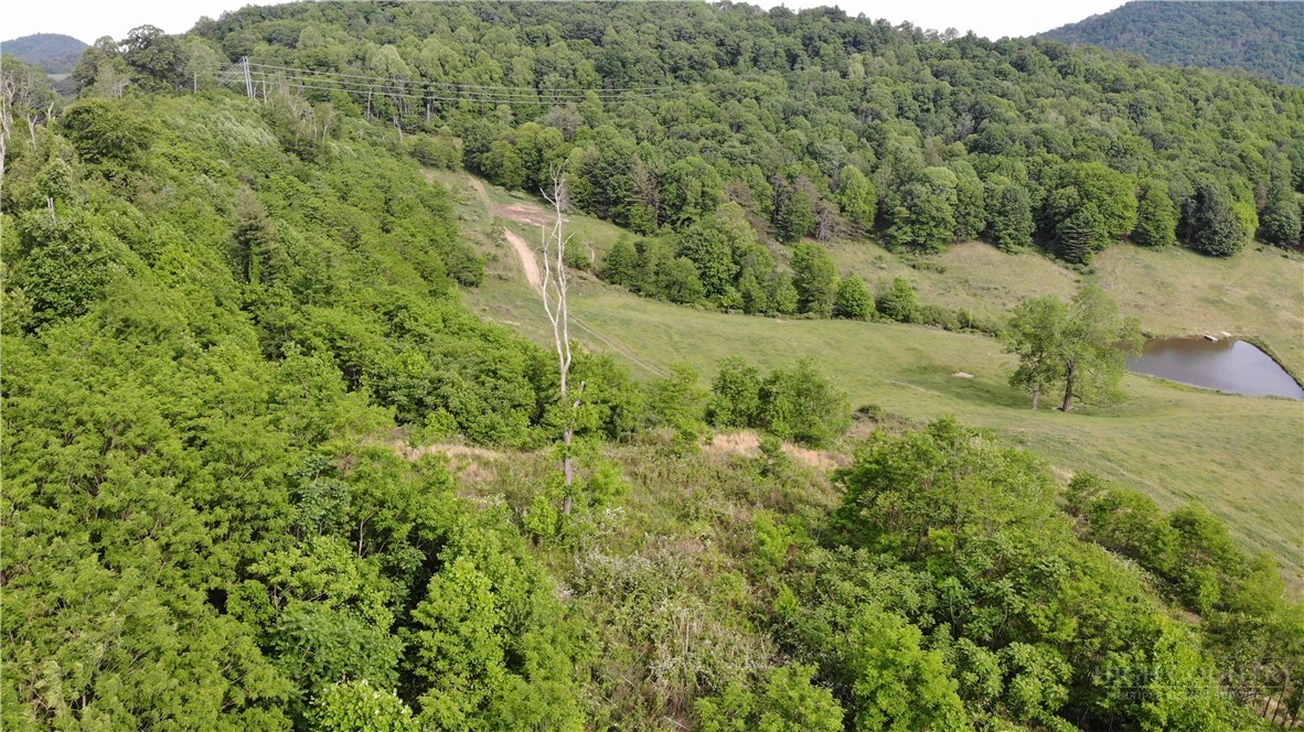 Image number 2 for the current listing