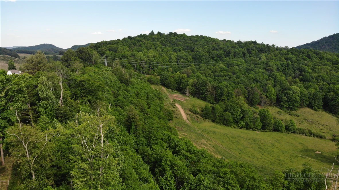 Image number 3 for the current listing
