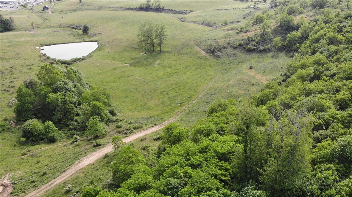 Image number 4 for the current listing