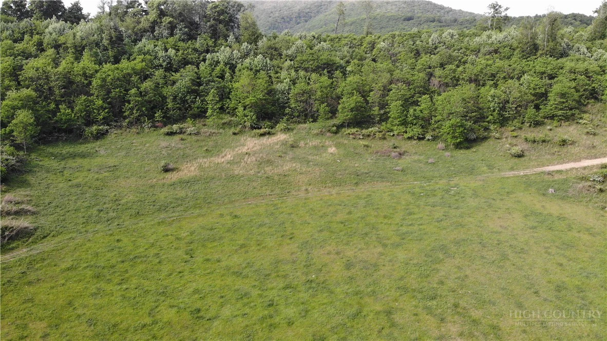 Image number 6 for the current listing