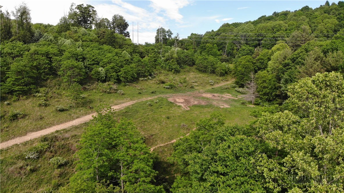 Image number 7 for the current listing