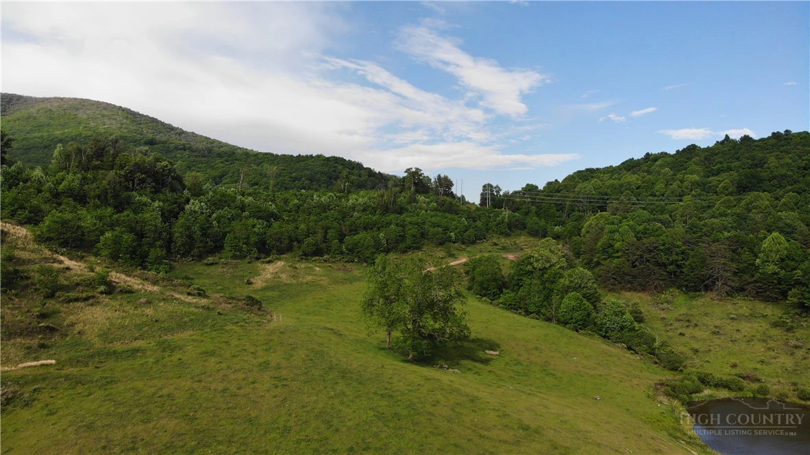 Image number 11 for the current listing