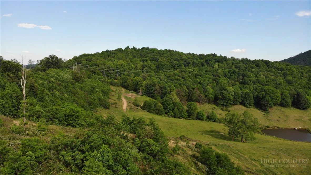 Image number 12 for the current listing
