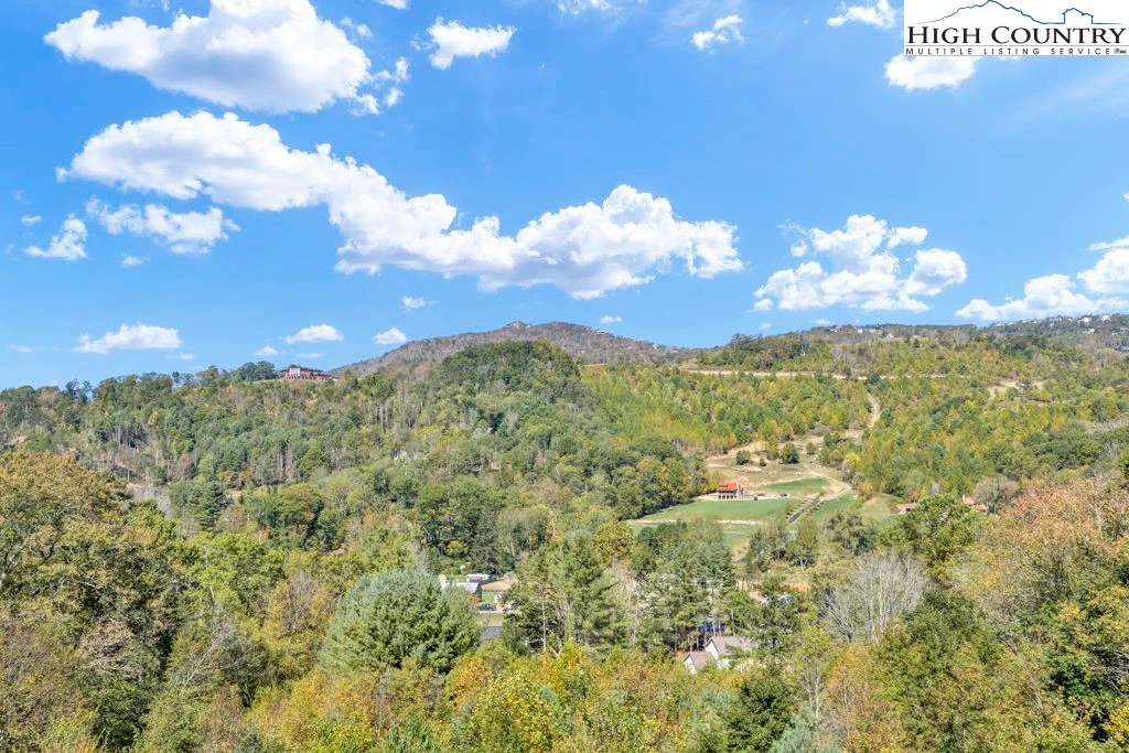 Image number 7 for the current listing