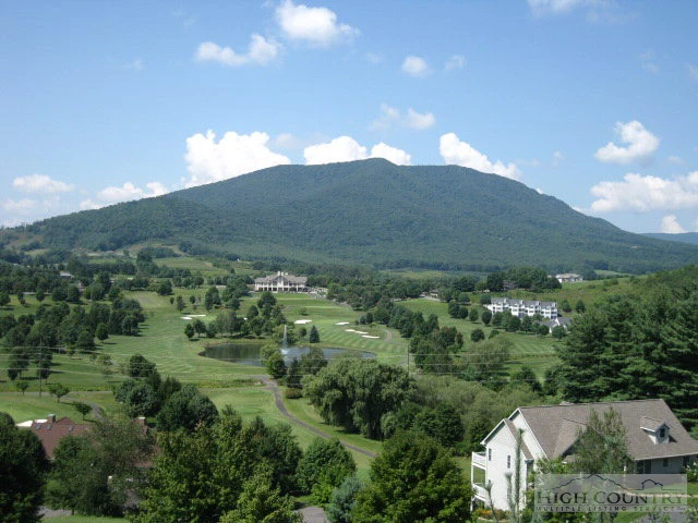 Image number 6 for the current listing