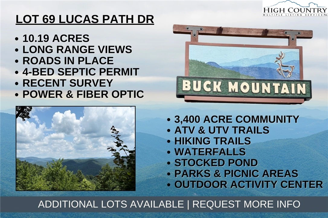 Image number 1 for the current listing