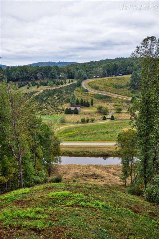 Image number 2 for the current listing