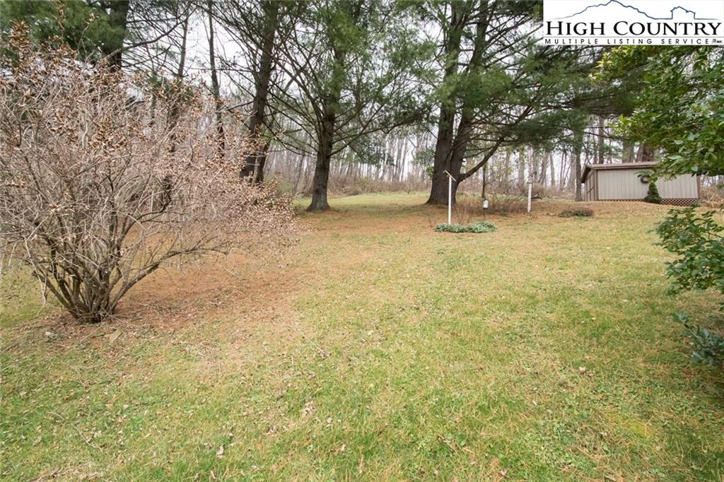 Image number 4 for the current listing