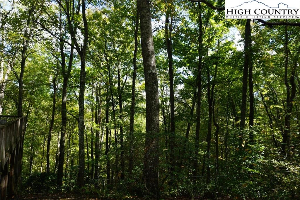 Image number 18 for the current listing