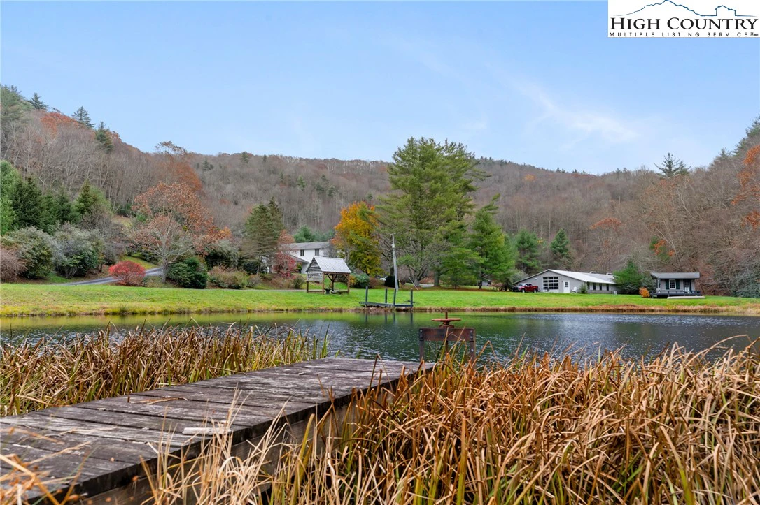 Image number 1 for the current listing