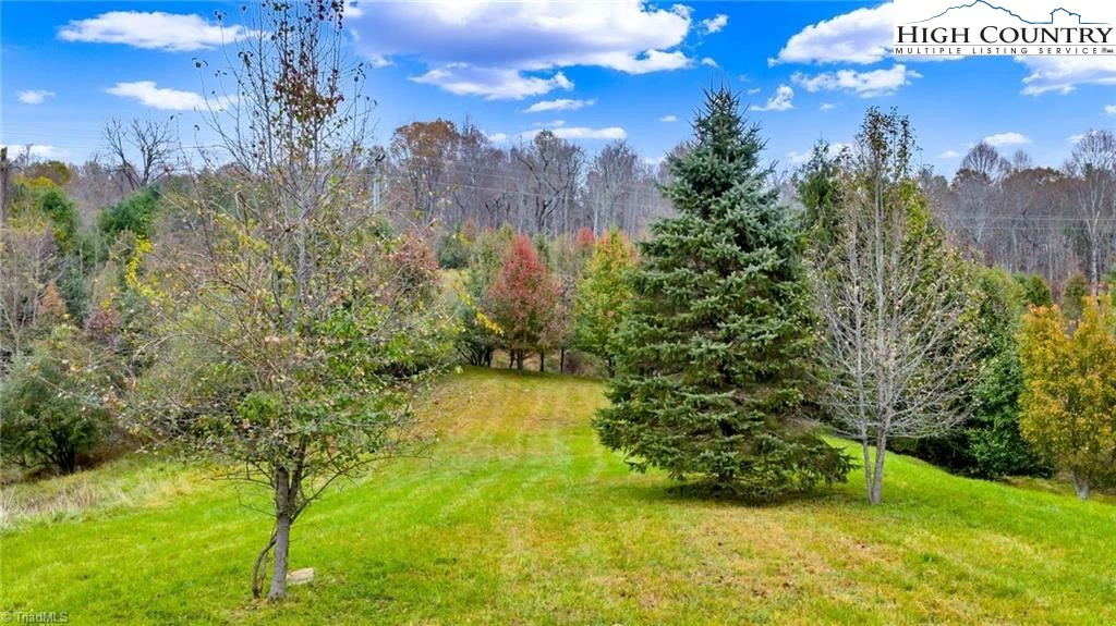 Image number 18 for the current listing
