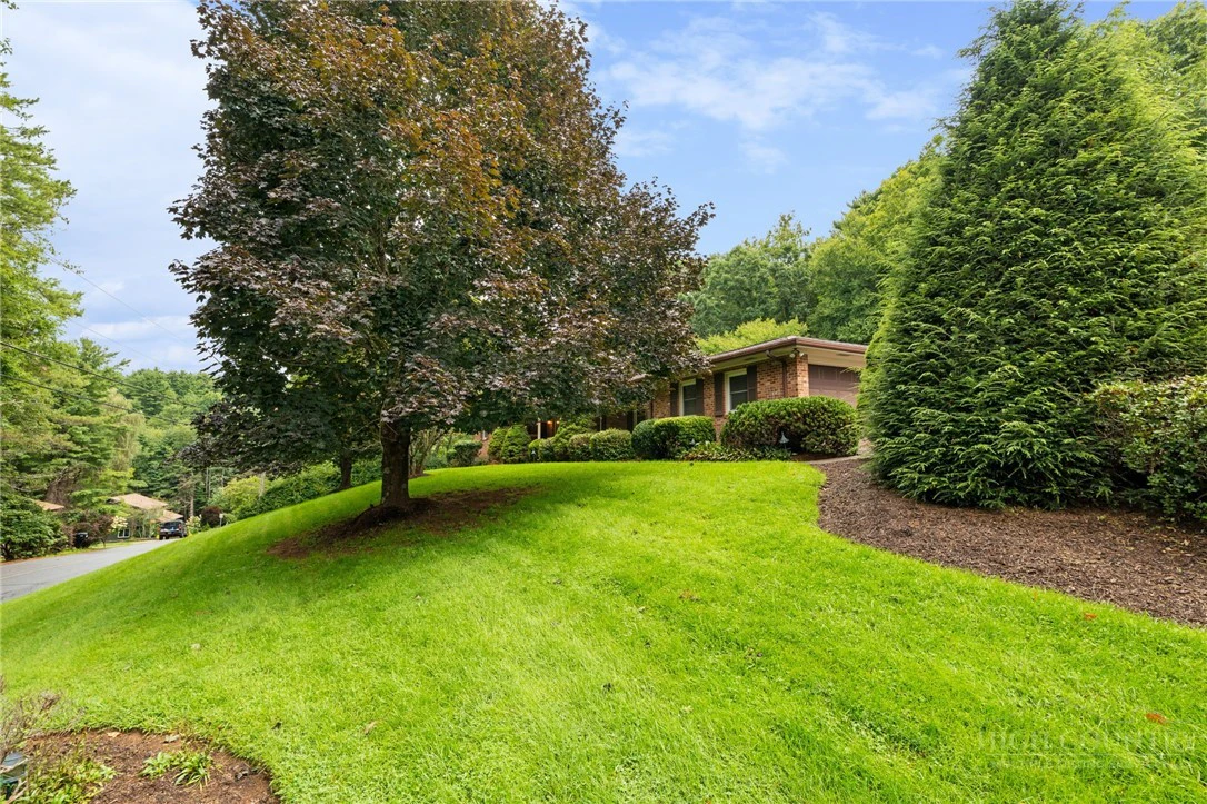 Image number 5 for the current listing