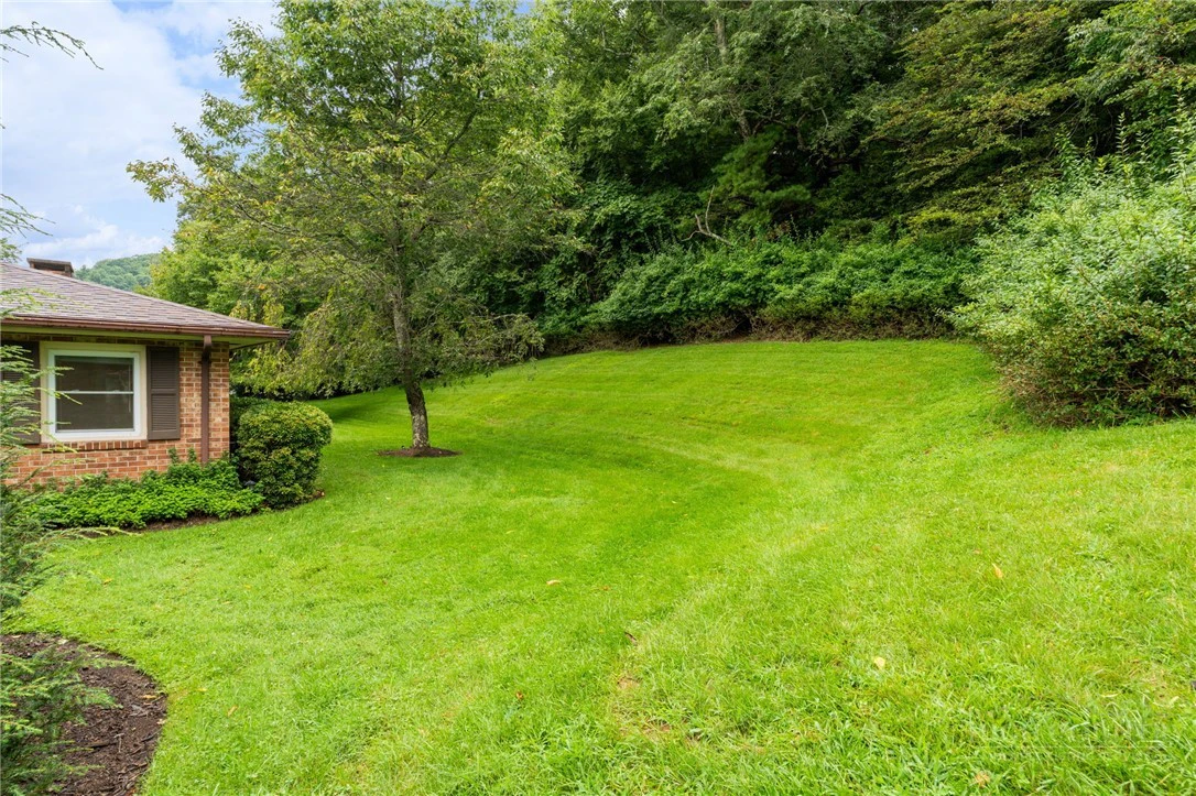 Image number 6 for the current listing