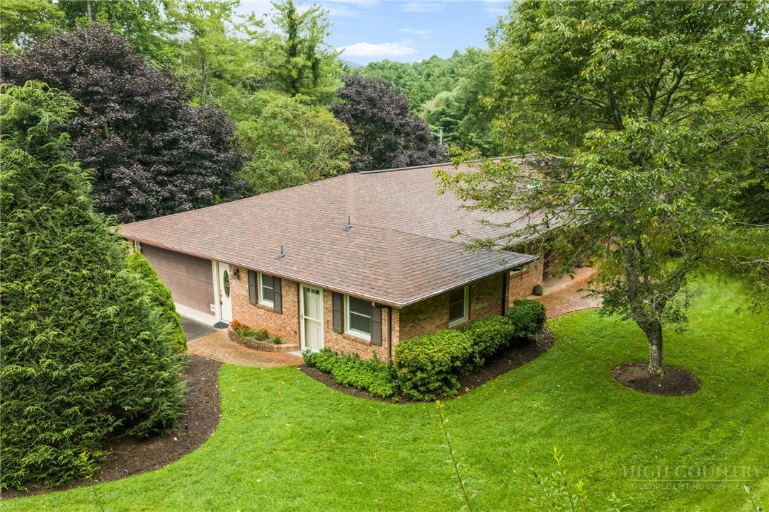 Image number 1 for the current listing