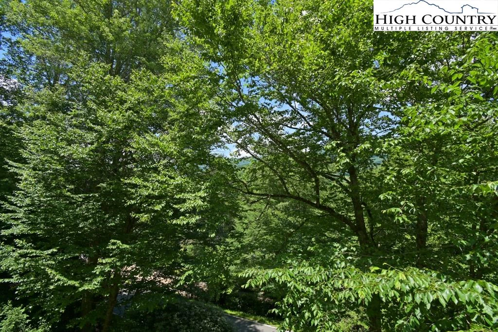 Image number 19 for the current listing