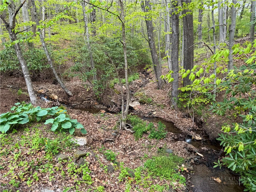 Image number 14 for the current listing