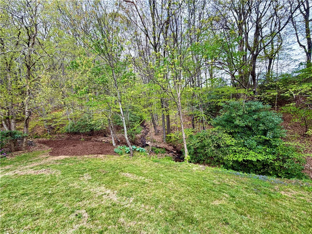 Image number 13 for the current listing