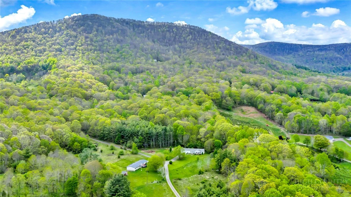 Image number 18 for the current listing
