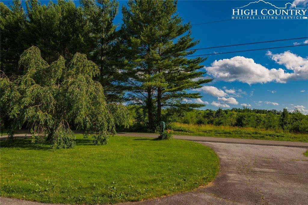 Image number 15 for the current listing