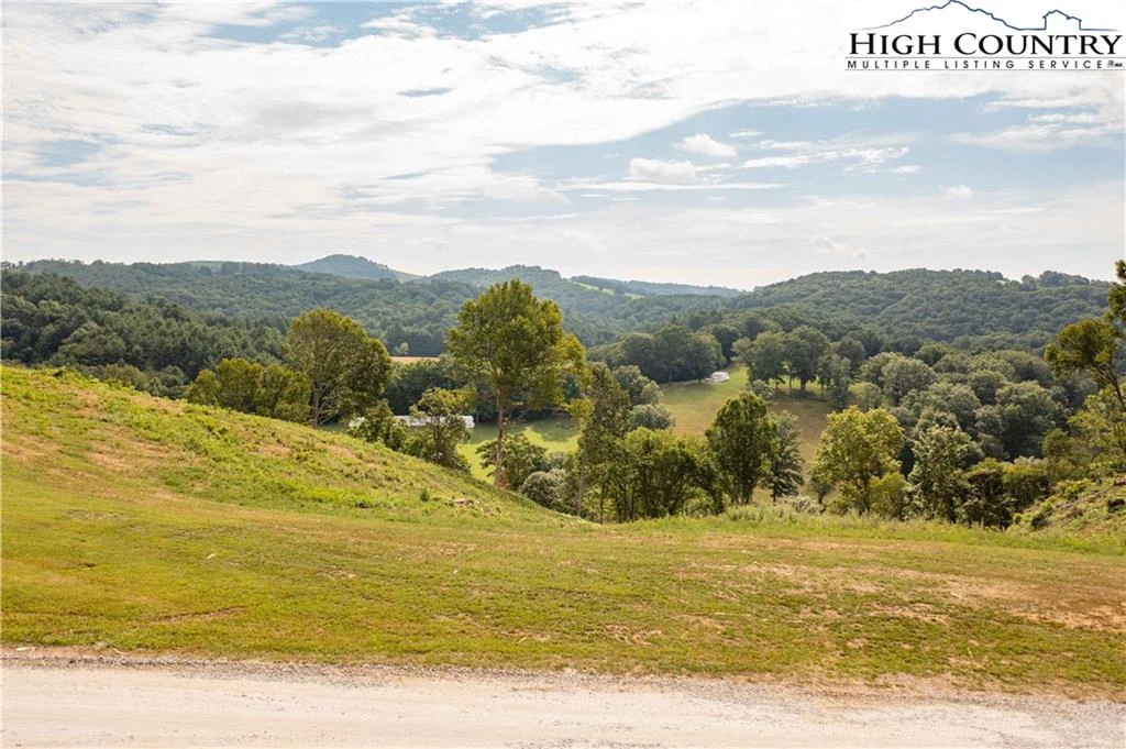 Image number 6 for the current listing