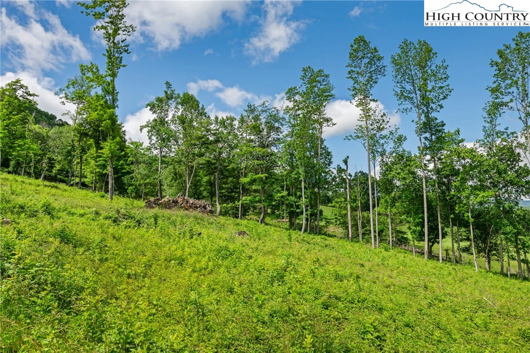 Image number 3 for the current listing