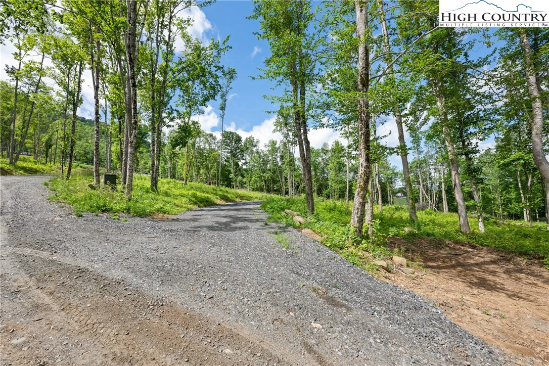 Image number 1 for the current listing