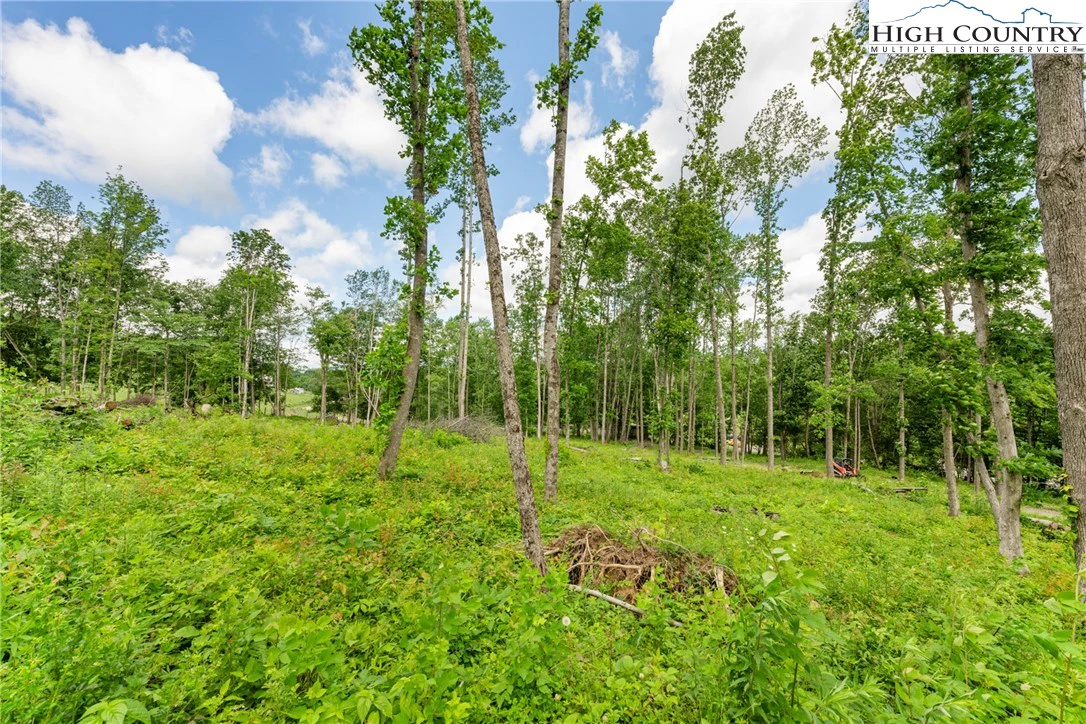 Image number 17 for the current listing