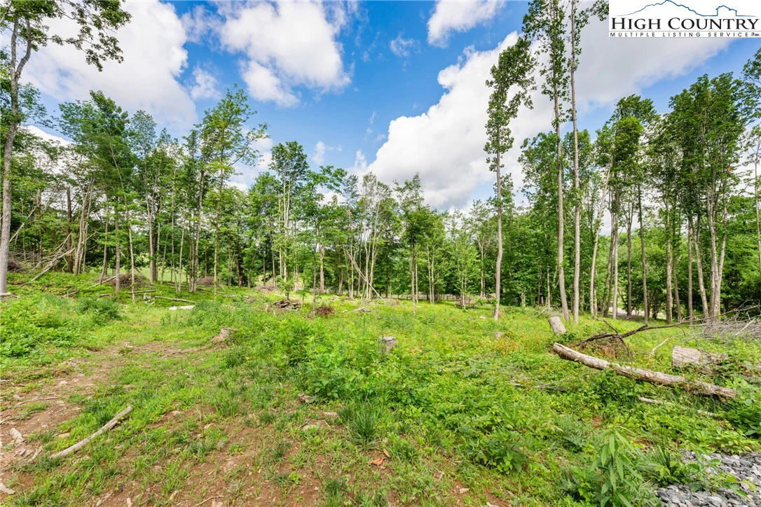 Image number 12 for the current listing