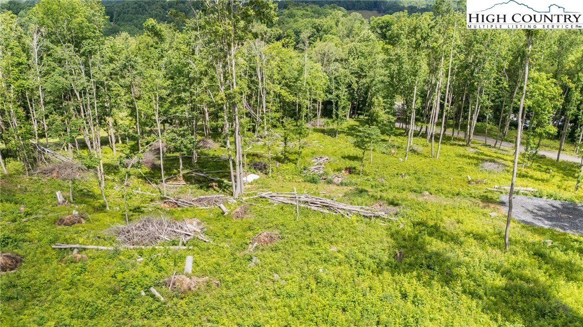 Image number 2 for the current listing