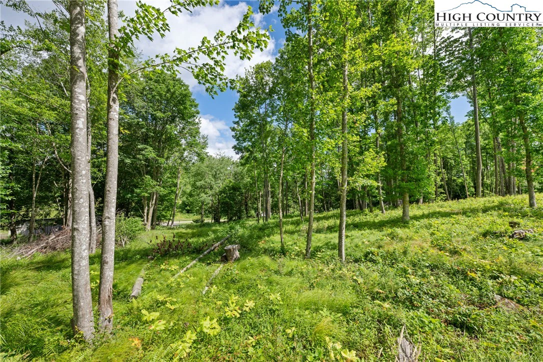 Image number 13 for the current listing