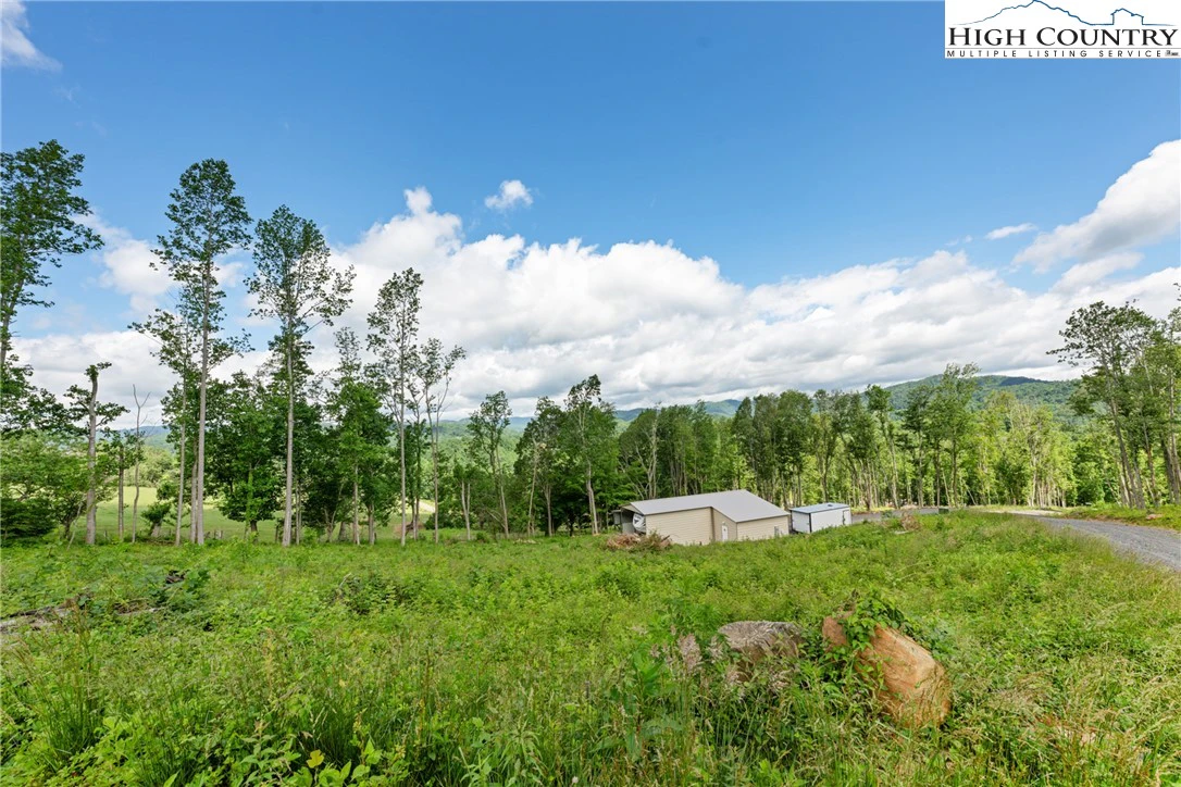 Image number 5 for the current listing