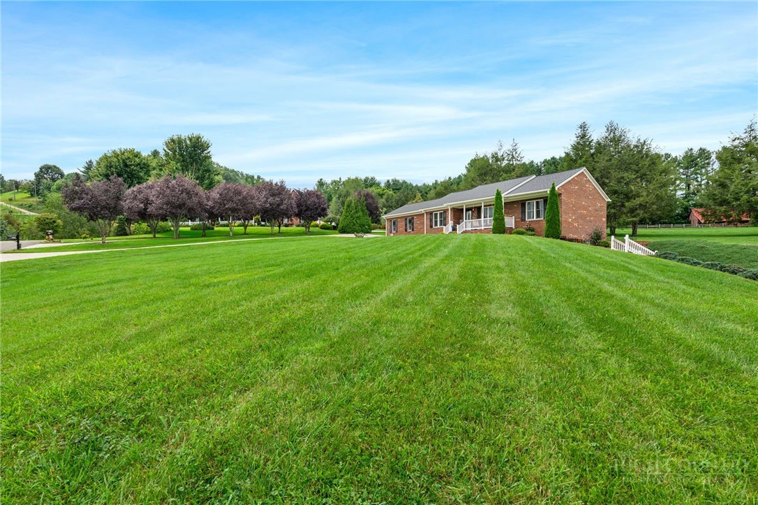Image number 6 for the current listing