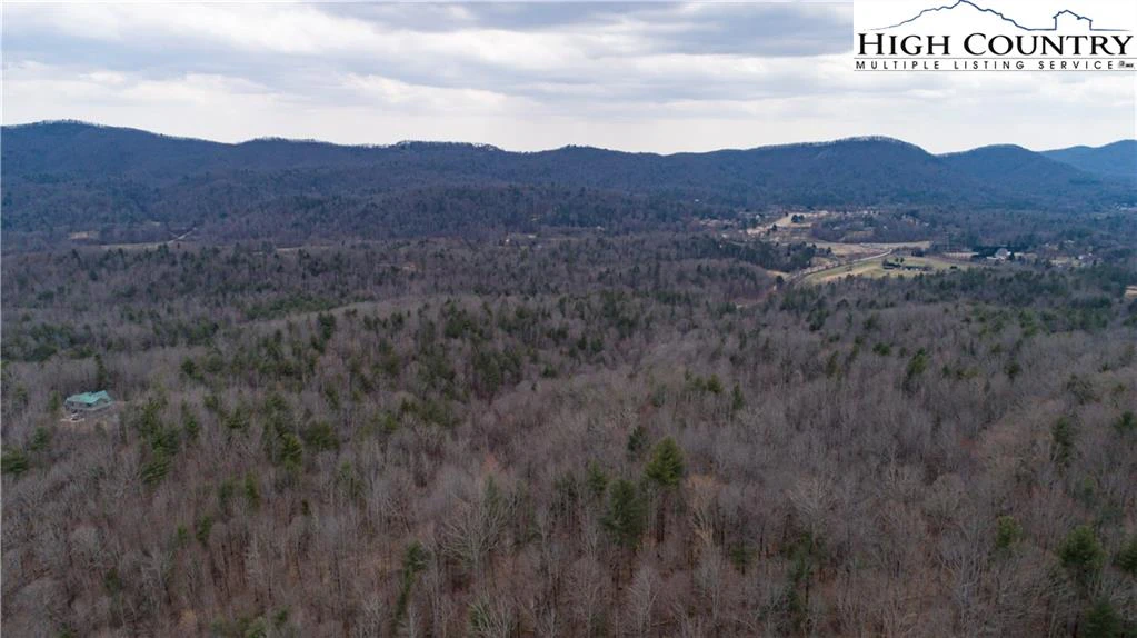 Image number 4 for the current listing