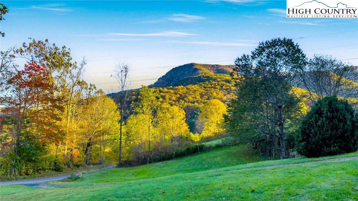 Image number 15 for the current listing