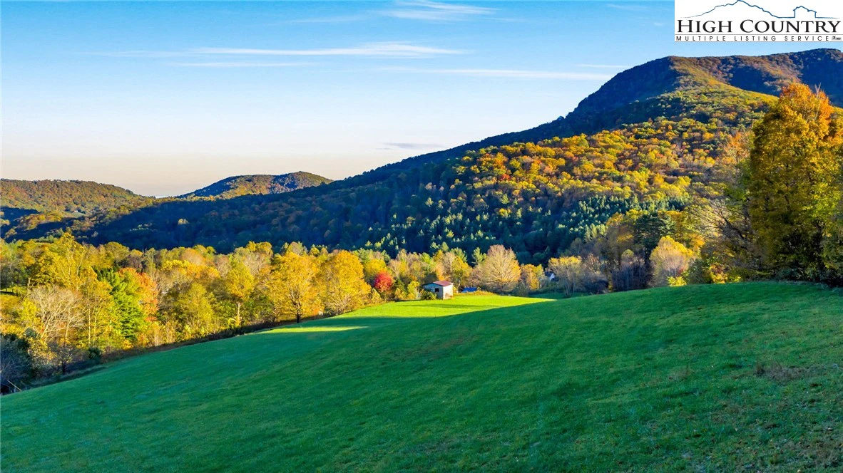Image number 19 for the current listing