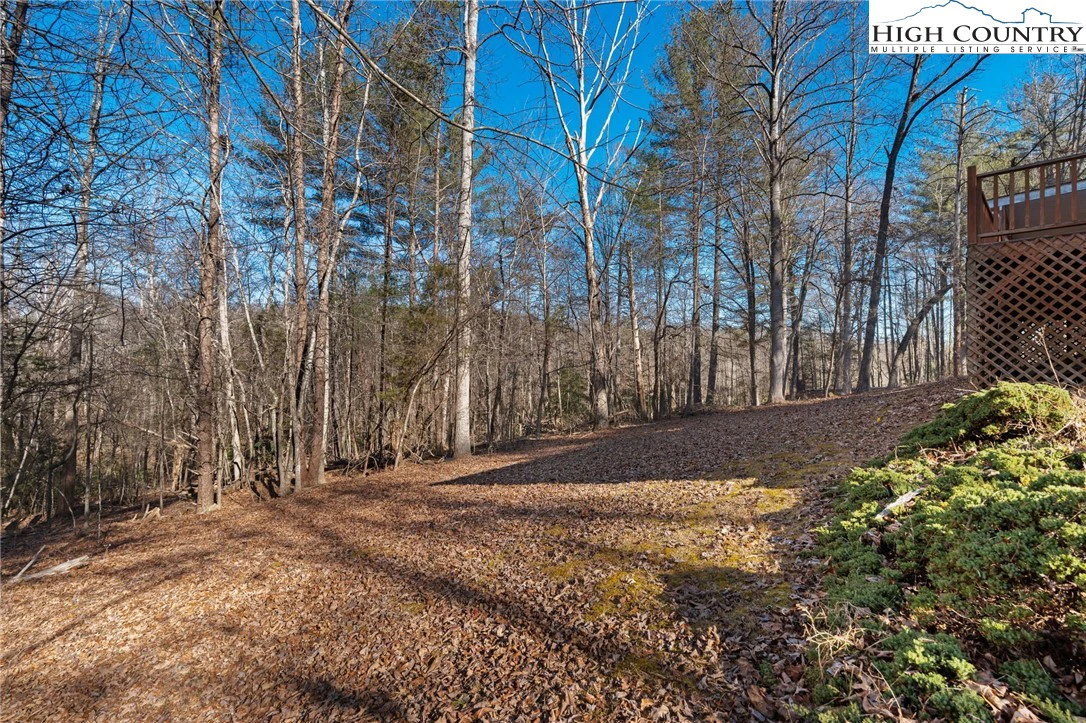 Image number 5 for the current listing