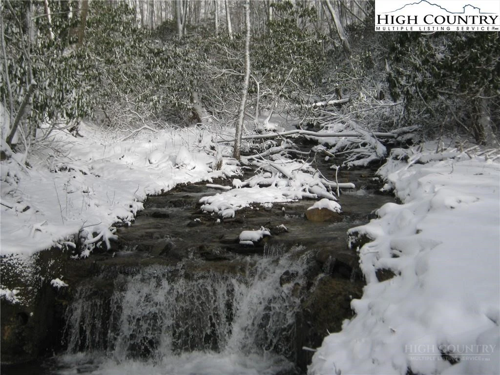 Image number 4 for the current listing