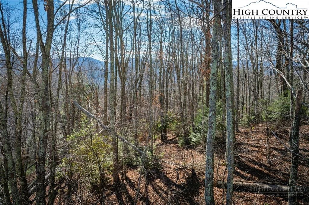 Image number 11 for the current listing