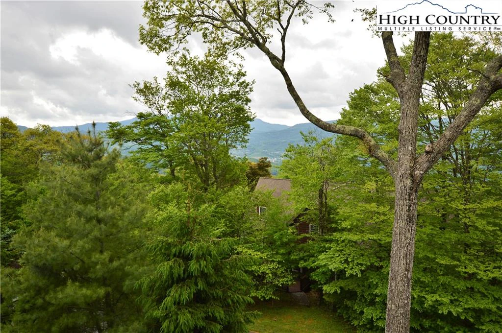 Image number 7 for the current listing