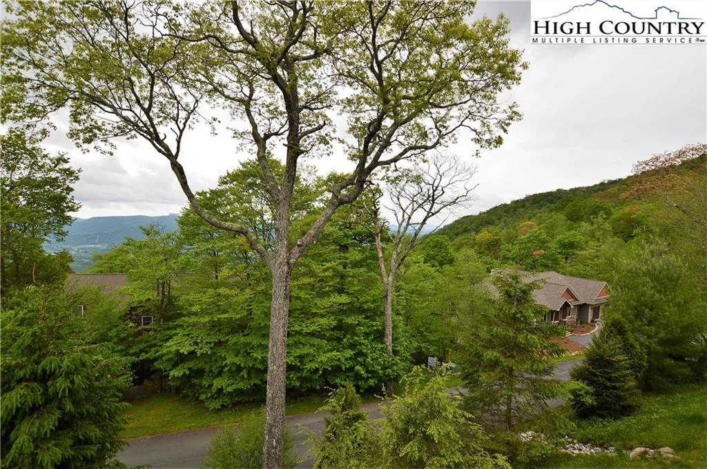 Image number 2 for the current listing
