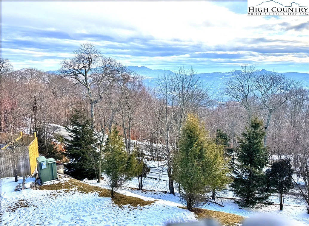 Image number 11 for the current listing
