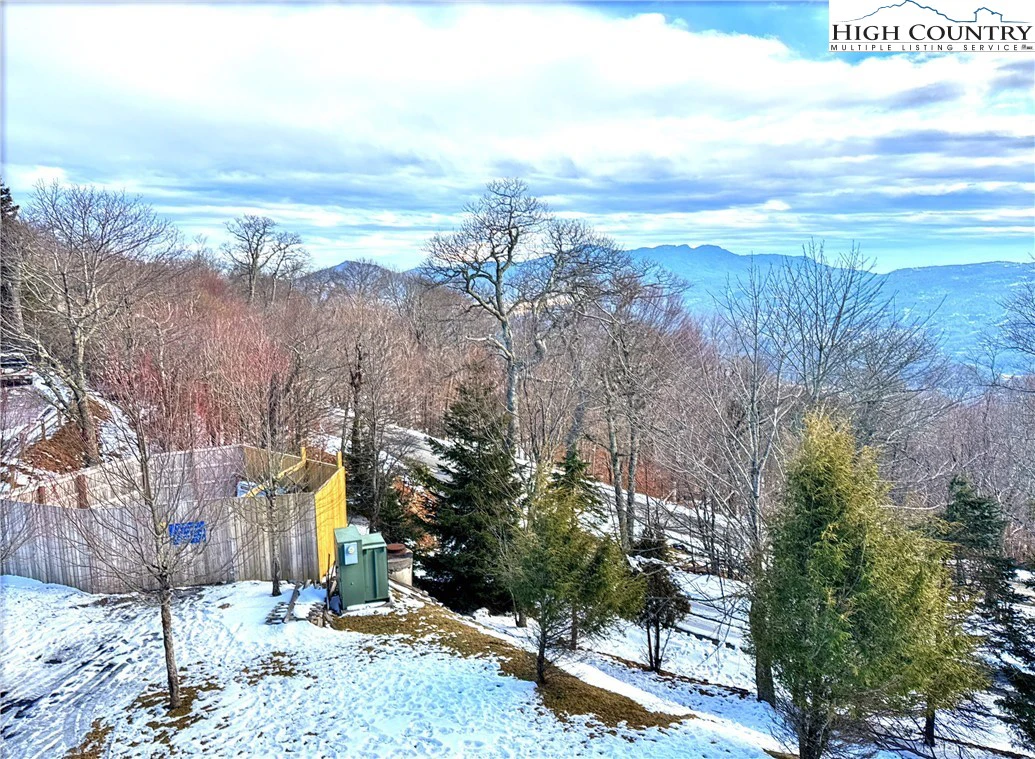 Image number 12 for the current listing