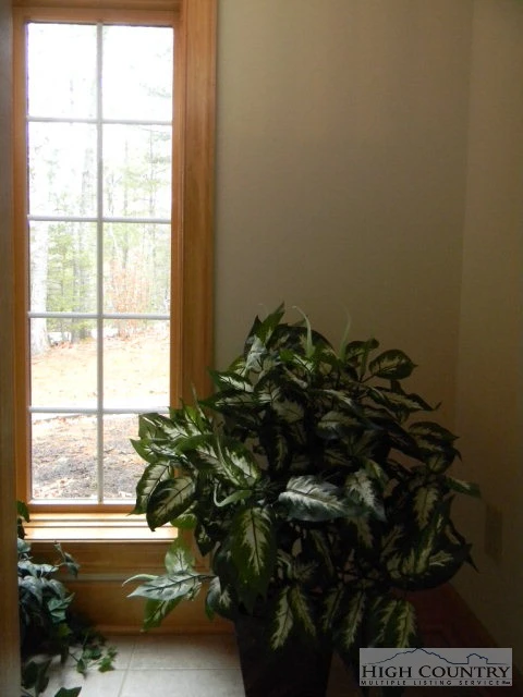 Image number 13 for the current listing