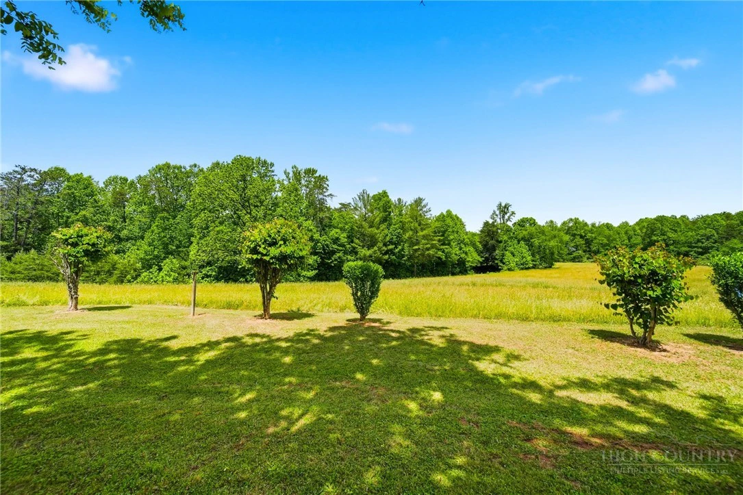 Image number 4 for the current listing