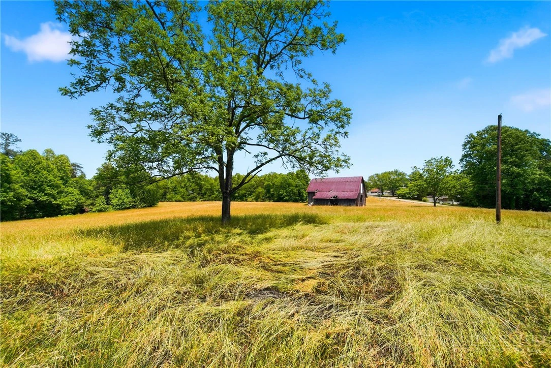 Image number 7 for the current listing