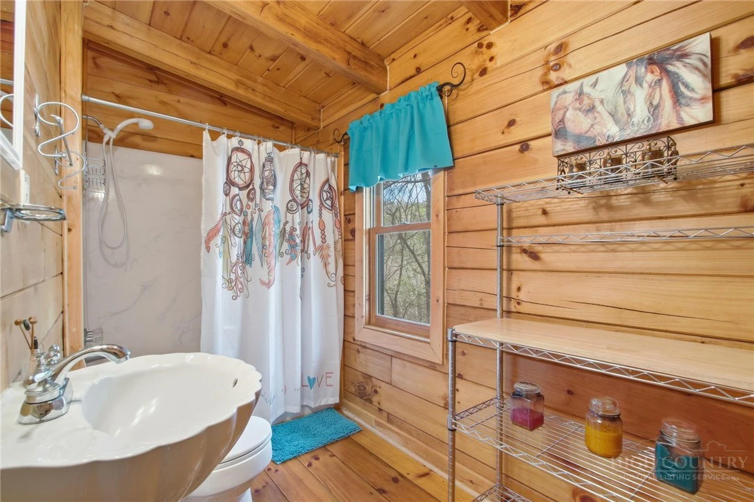 Image number 4 for the current listing