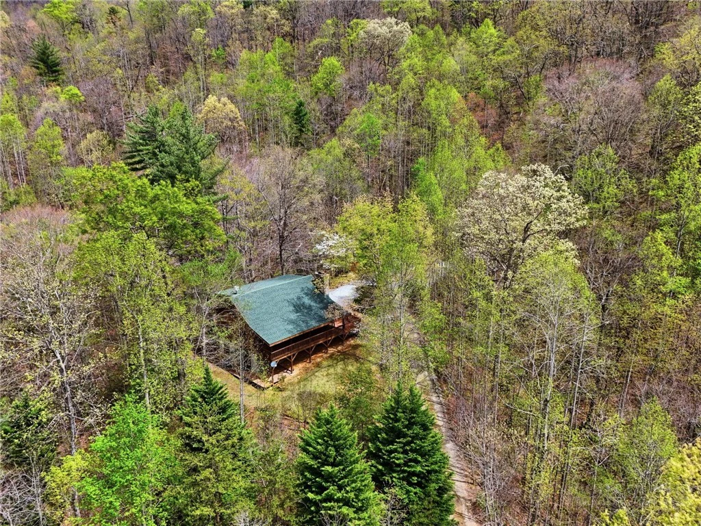 Image number 1 for the current listing
