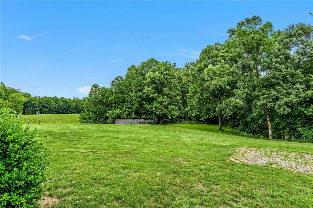 Image number 19 for the current listing