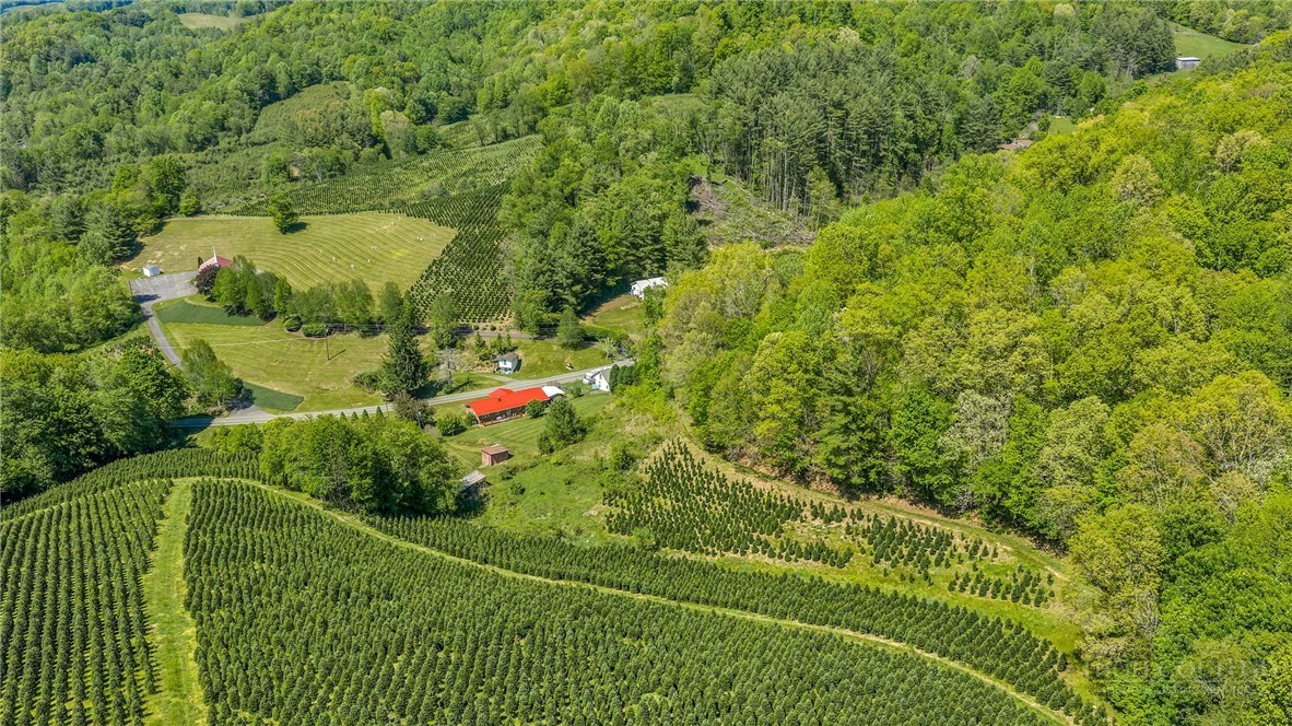 Image number 5 for the current listing