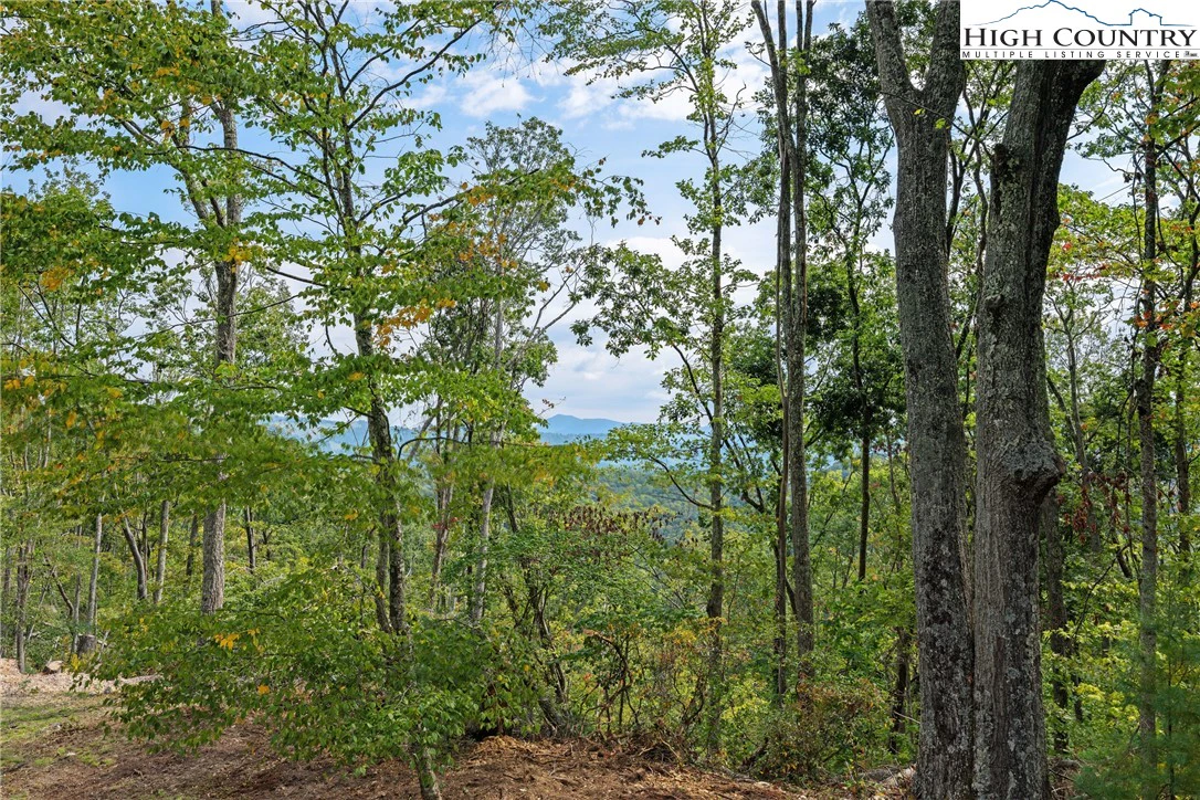Image number 6 for the current listing